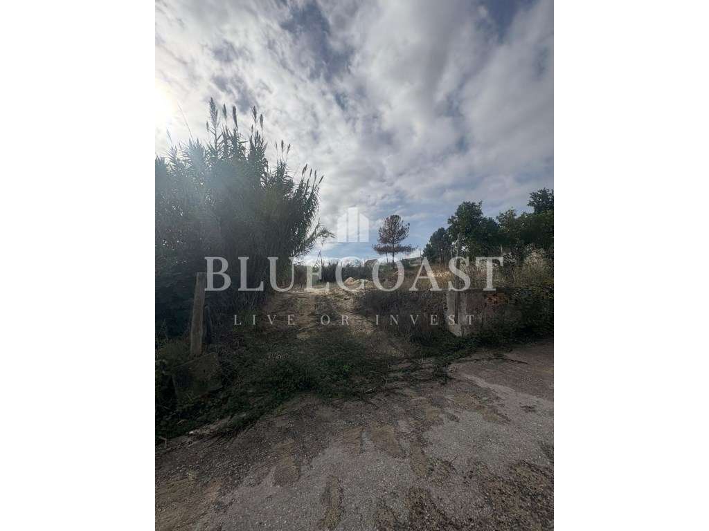 Excelente Terreno para construção 350m2 - Poceirão-5