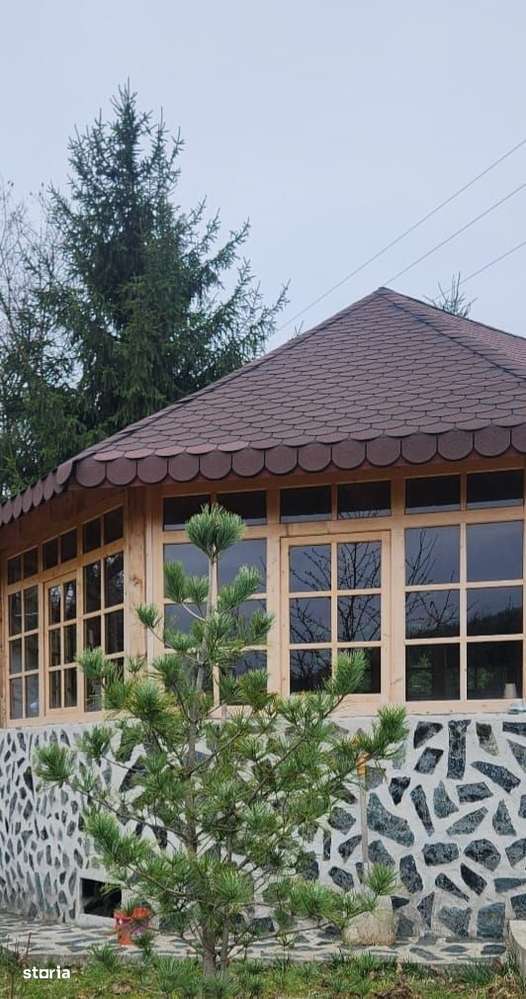 Vila Horezu Romanii de Jos-8