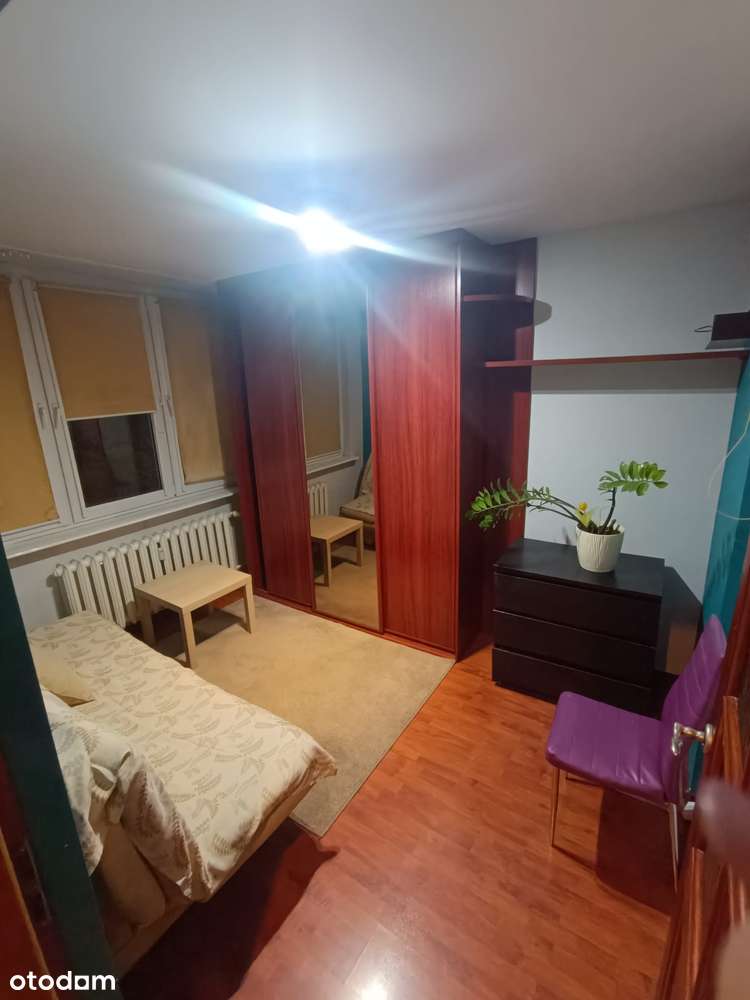 Pogoń, 2 niezależne  pokoje, obok uczelni-14