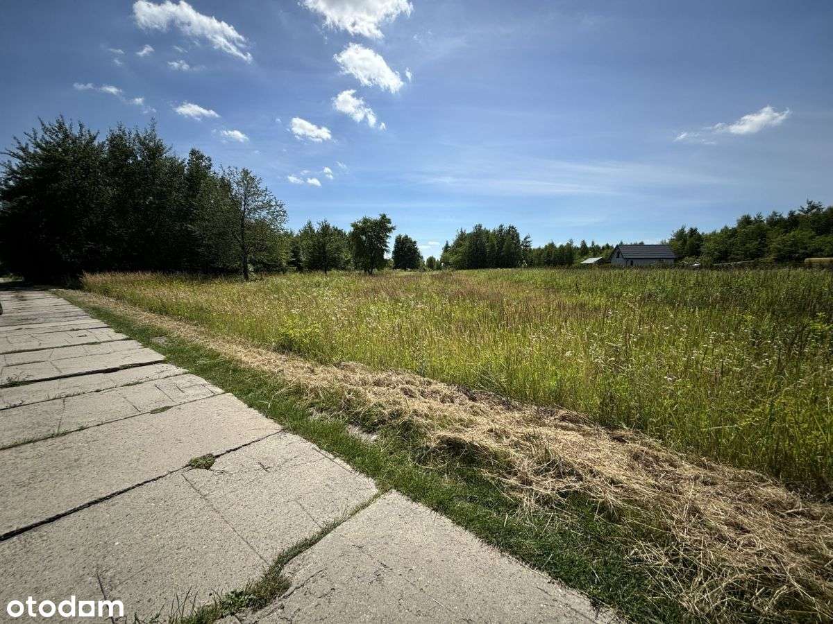 Działka/ 26 ar / WZ na Hale usługowo-magazyową - Pełny obrazek: 4/6