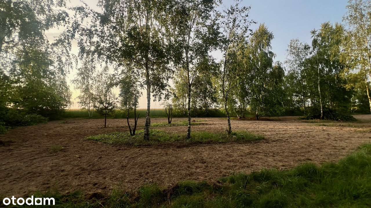 Malownicza, zadrzewiona działka nad Wkrą . OKAZJA-6