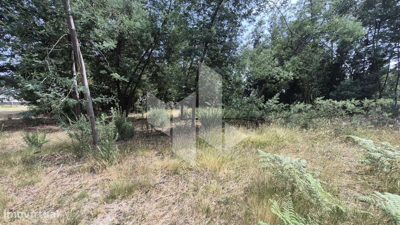 Terreno Para Construção  Venda em Molelos,Tondela-3