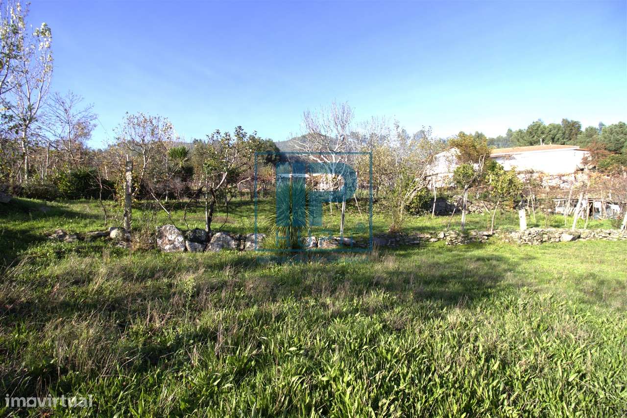 Quinta T3+1 Venda em Penhalonga e Paços de Gaiolo,Marco de Canaveses-5