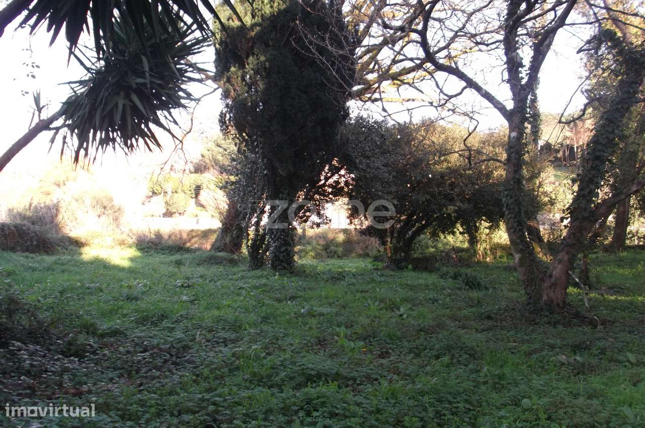 Quinta com edifício em ruinas e terreno com 14666 m2 - Grande imagem: 5/49