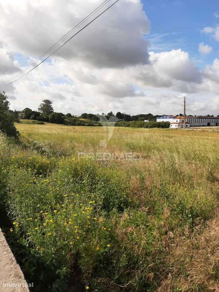 Terreno Misto Vila Chã de Ourique / Cartaxo - Grande imagem: 2/23