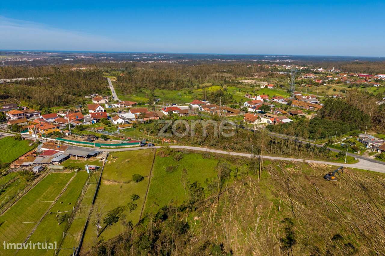 Terreno rústico – Souto da Carpalhosa - Grande imagem: 5/20