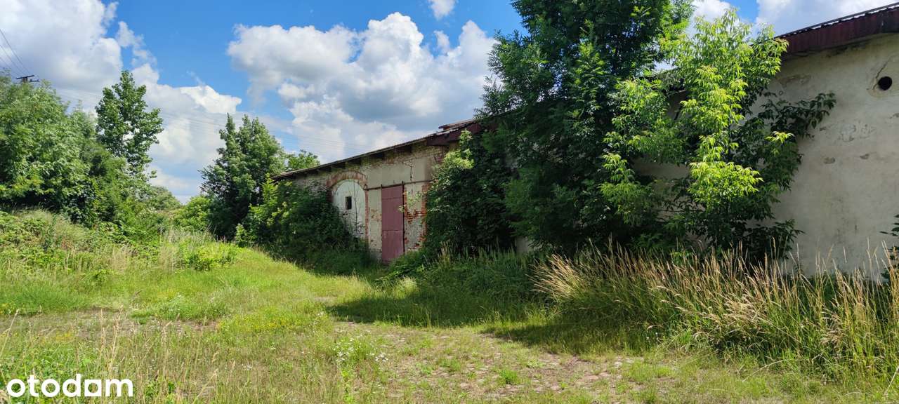 Żerniki Wielkie, działka mieszkaniowo-usługowa o pow. 5084 m2 - Pełny obrazek: 5/7