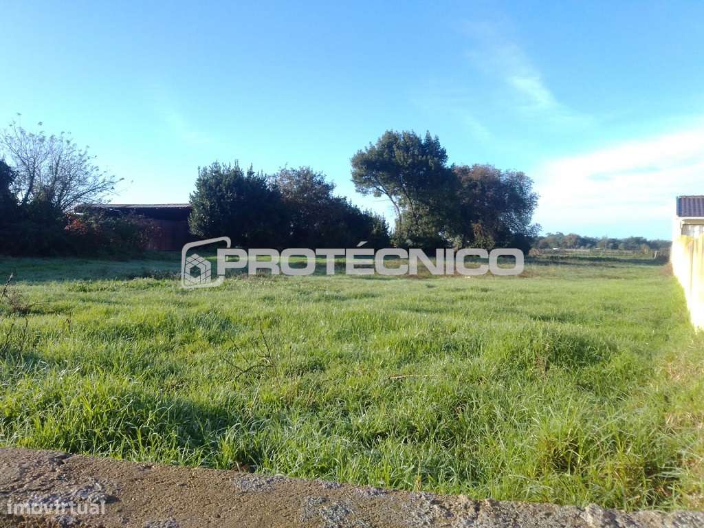 Terreno c/ 2.000m2 – Cacia - Grande imagem: 2/5