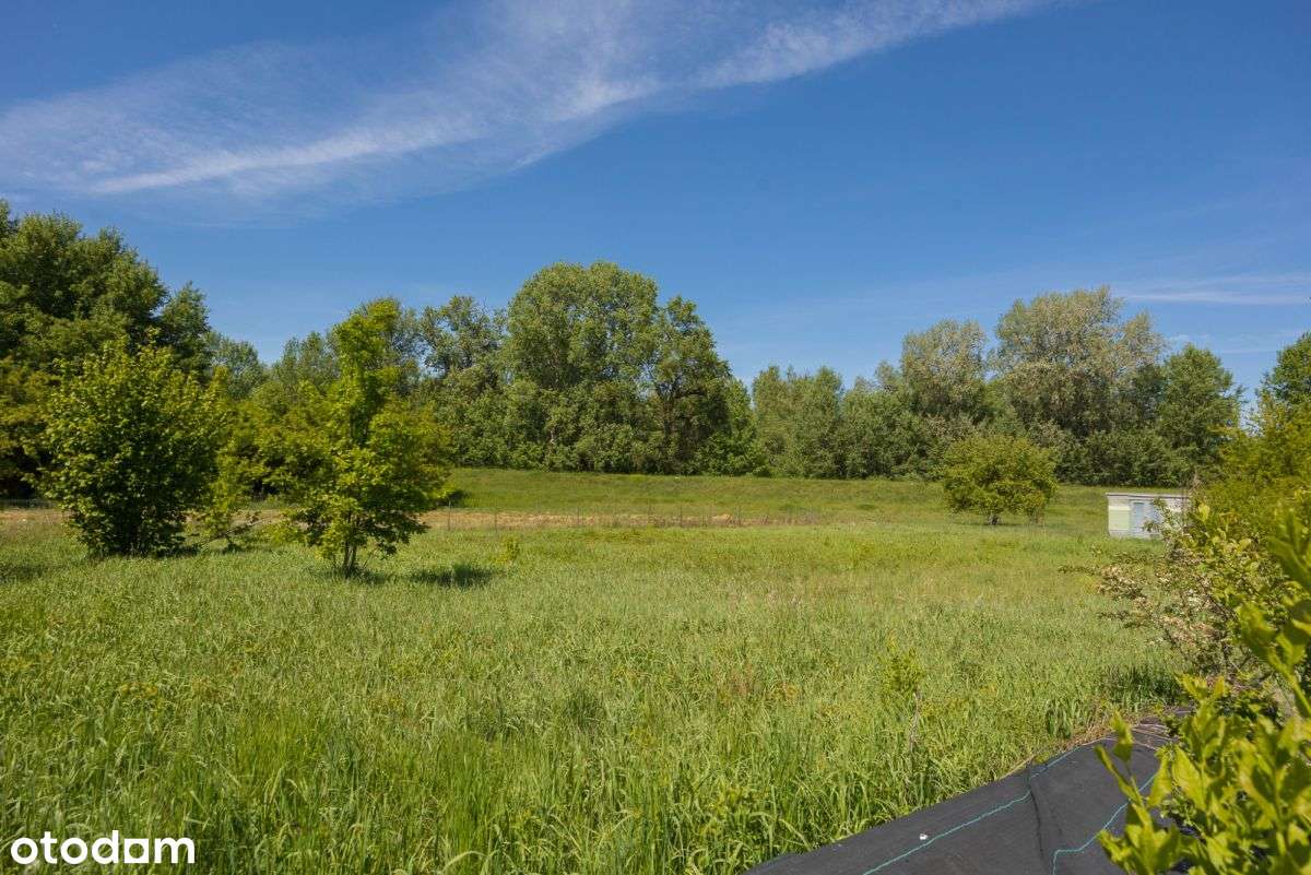 Black Friday cena -10% tylko przez tydzień - Pełny obrazek: 4/20