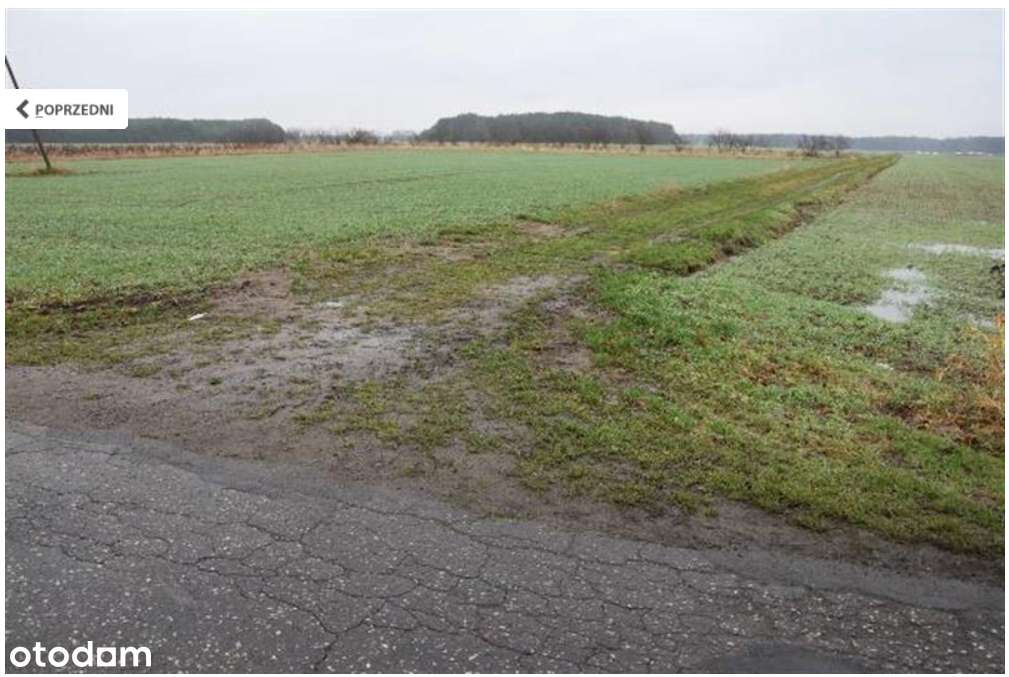 Działka, 4 284 m², Bojadła - Pełny obrazek: 4/6