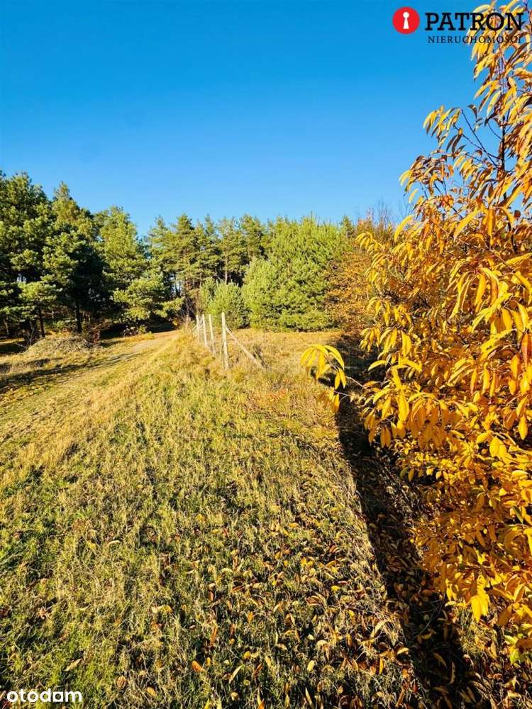 Sprzedam działkę o pow. 2 438 m² w Rurzycy-7