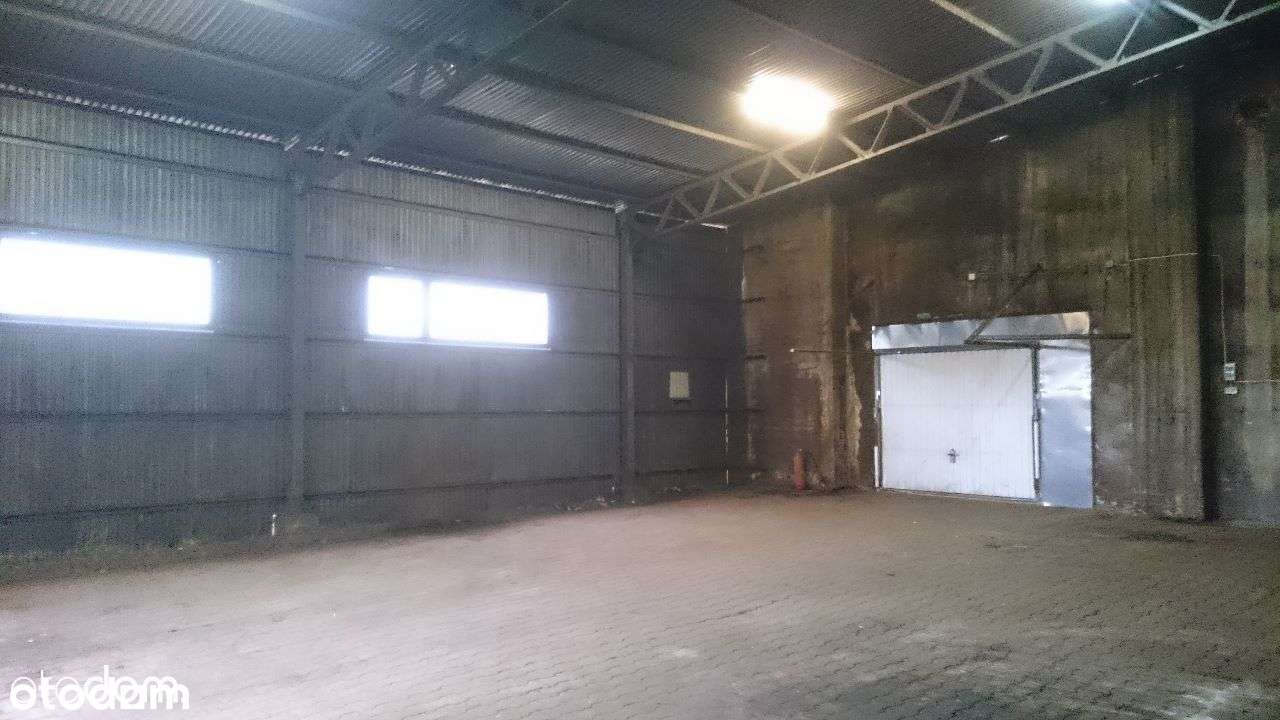 Hala Magazynowa Częstochowa 170 m2 z terenem - Pełny obrazek: 5/5