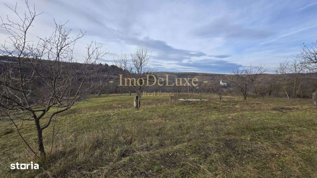 Teren intravilan, 6000mp, priveliste, comuna Baciu, zona Suceagu - Imagine principală: 4/7
