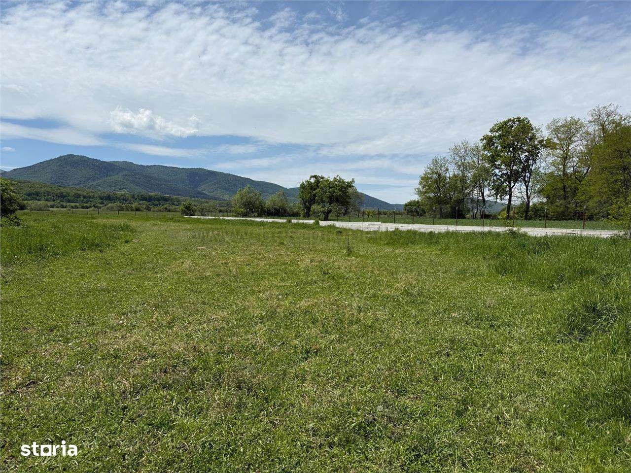 Teren intravilan de vanzare 3000mp, Sacel - Imagine principală: 4/7