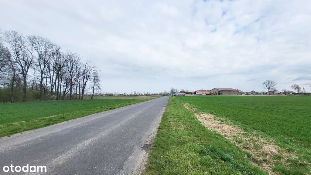 Działka | Pod inwestycję |Kostomłoty |Węzeł A4-5