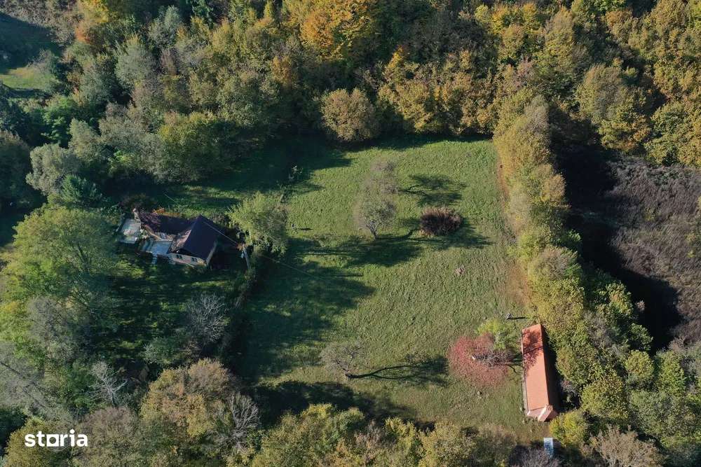 Teren intravilan | 1300 mp | de vanzare- Valea Avrigului - Imagine principală: 3/5