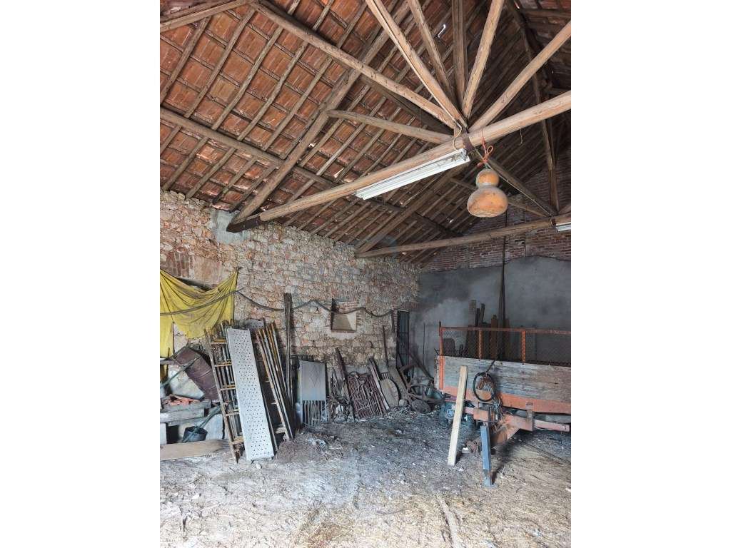 Imóvel a servir de barracão em aldeia junto a Torres Novas-5