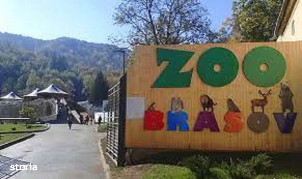 APARTAMENT DECOMANDAT, STRUCTURA MARE-8