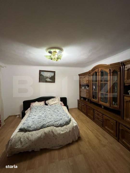 2 CASE, 300mp/700mp, teren 30 ari, zona strada Botizului - Imagine principală: 2/19