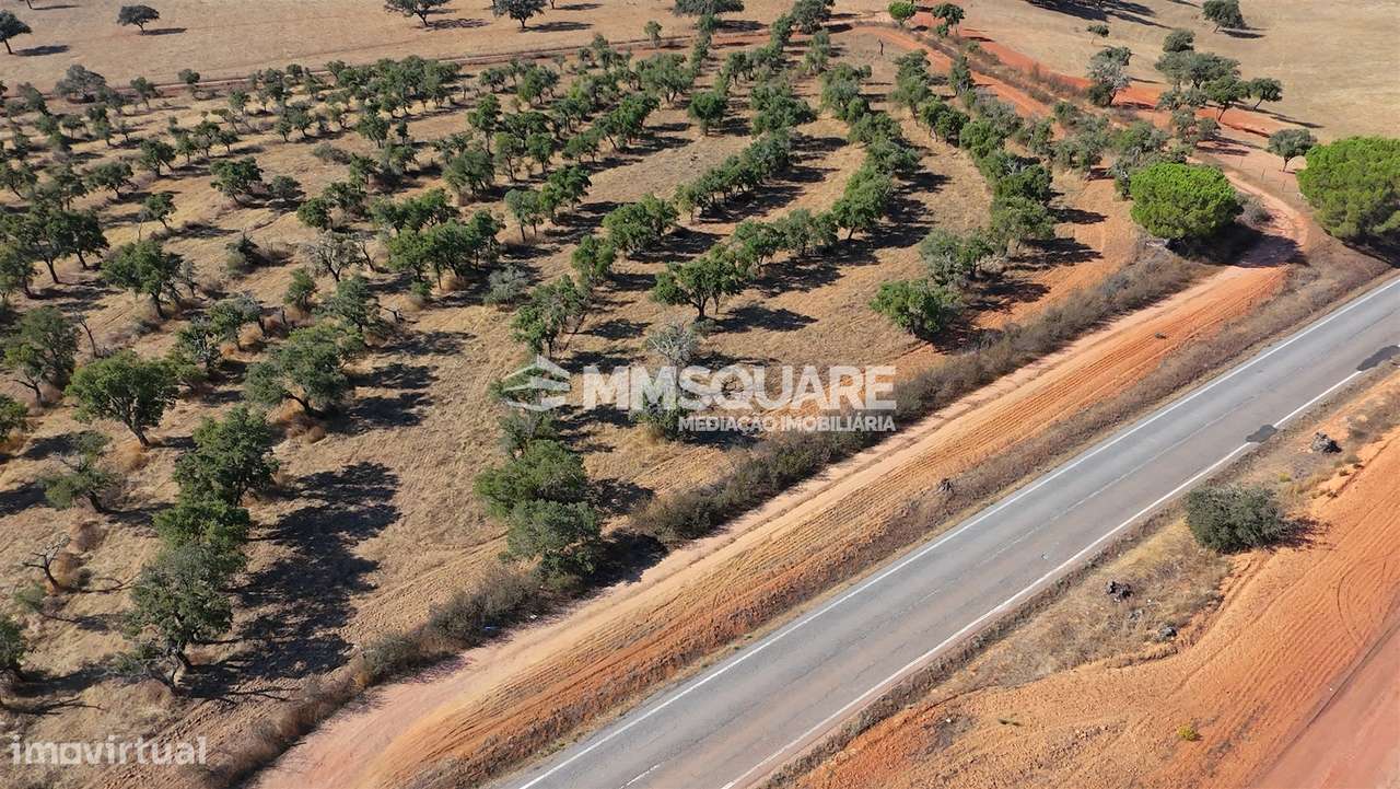 Herdade  Venda em Garvão e Santa Luzia,Ourique-36