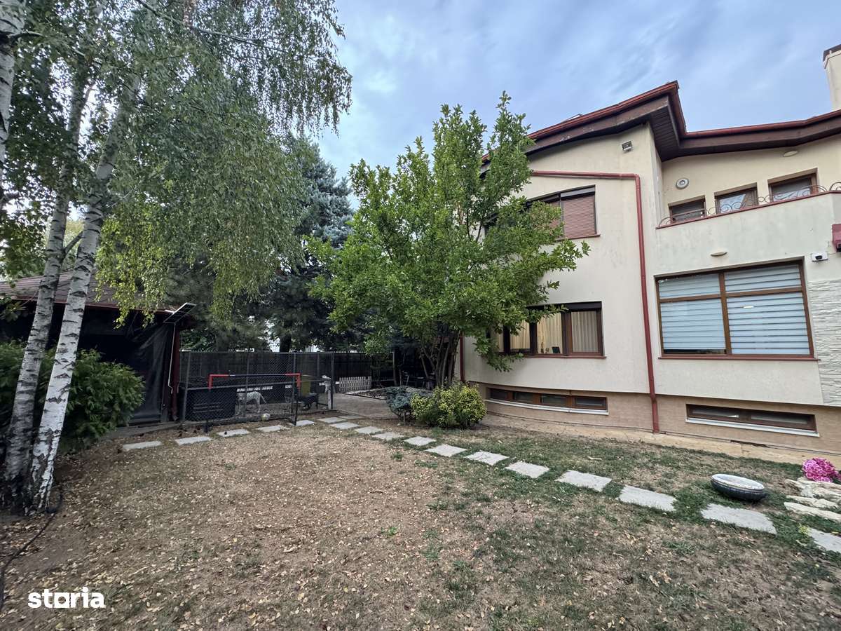 Vilă  deosebită D+P+1E+P/  garaj/curte/ Iancu Nicolae-3