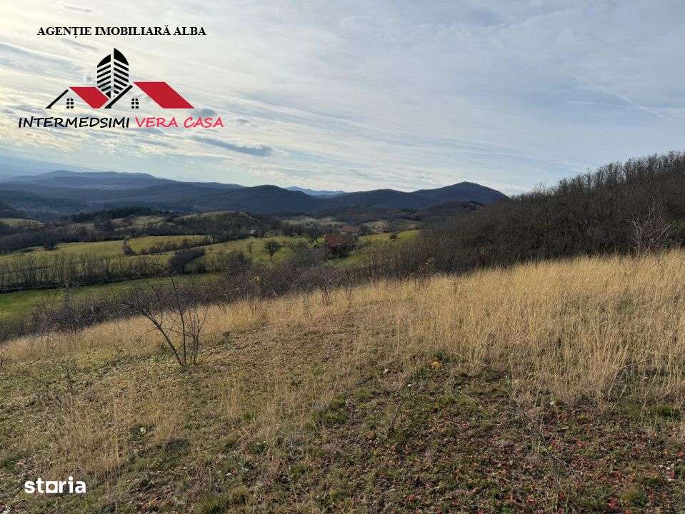 Teren extravilan de vanzare la perfiferia satului Inuri Jud Alba-11