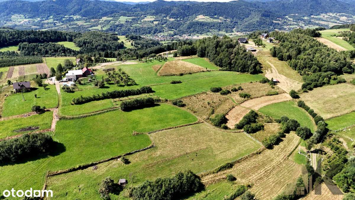 Działka rolna 26,5ar Wola Piskulina - Pełny obrazek: 4/12