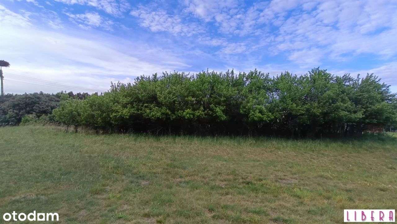 Tylko u nas! Dzialka bydowlana, Januszkowo-3