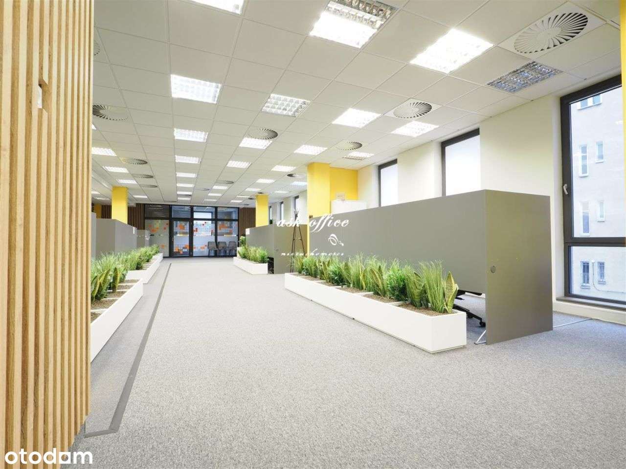 Lokal użytkowy, 175 m², Wrocław