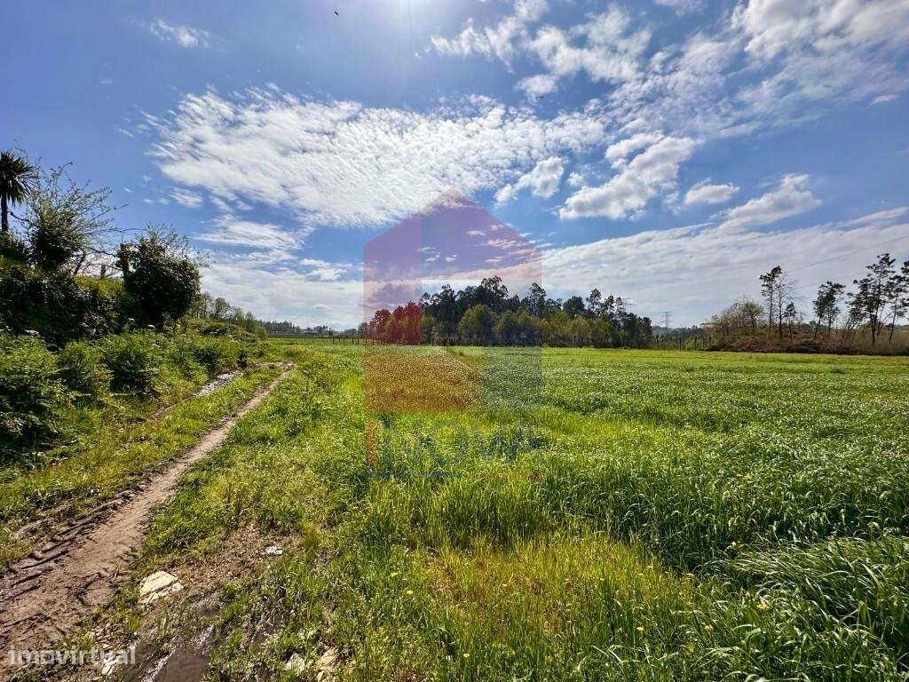 Terreno agrícola, Lanhas - Grande imagem: 3/27