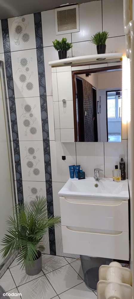 Duże, ustawne trzy pokoje w centrum miasta-8