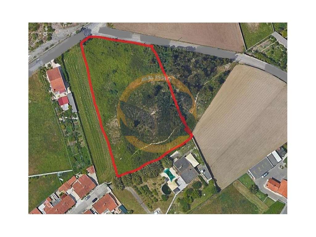 Terreno em São João de Ovar - Grande imagem: 4/4