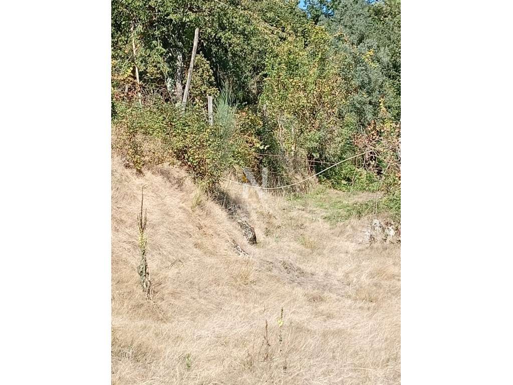 TERRENO RÚSTICO, BRAGA, Vila Verde - Grande imagem: 3/12