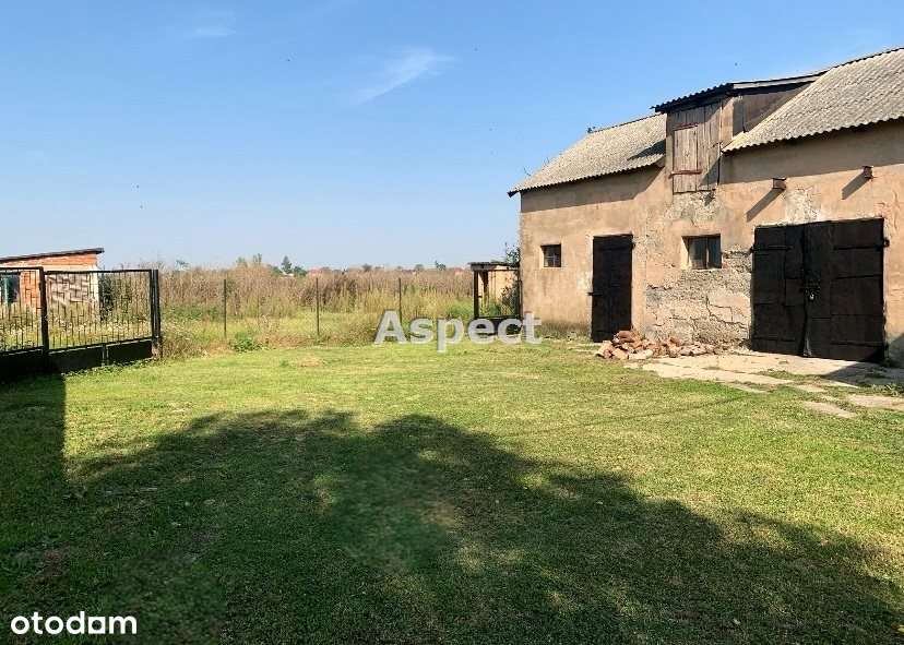 Dom na sprzedaż, Bedlno, 2 pokoje - Pełny obrazek: 5/17