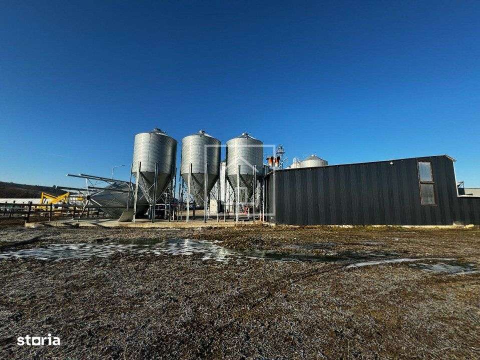 Fabrica de Furaje FNC cu Ferma de Struti in Cornatel - 13Km de Sibiu - Imagine principală: 4/19