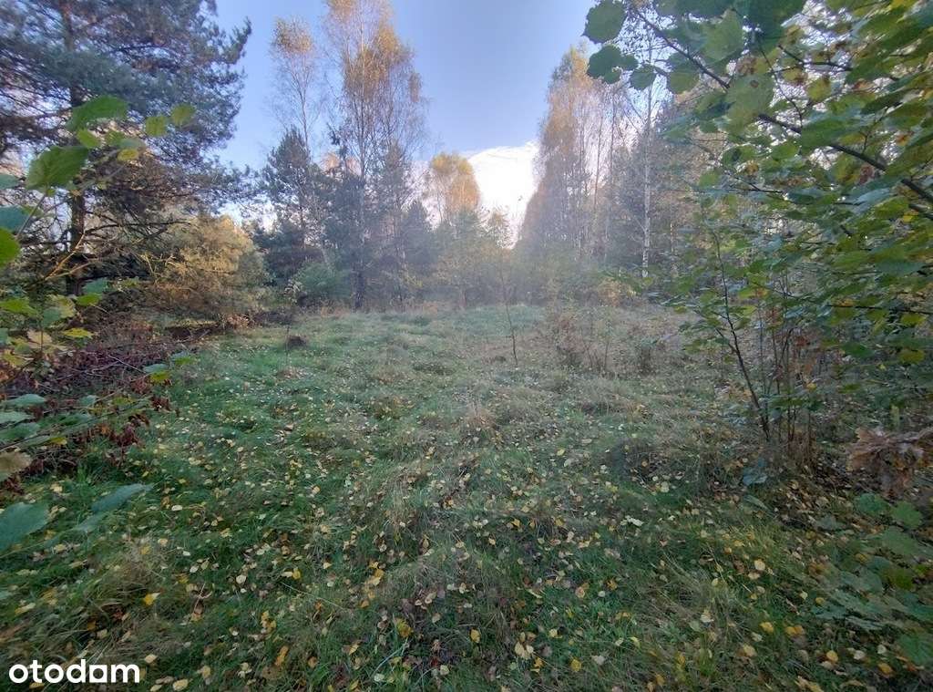 Malownicza Działka rolno-zagrodowa/Las/Jura - Pełny obrazek: 4/9