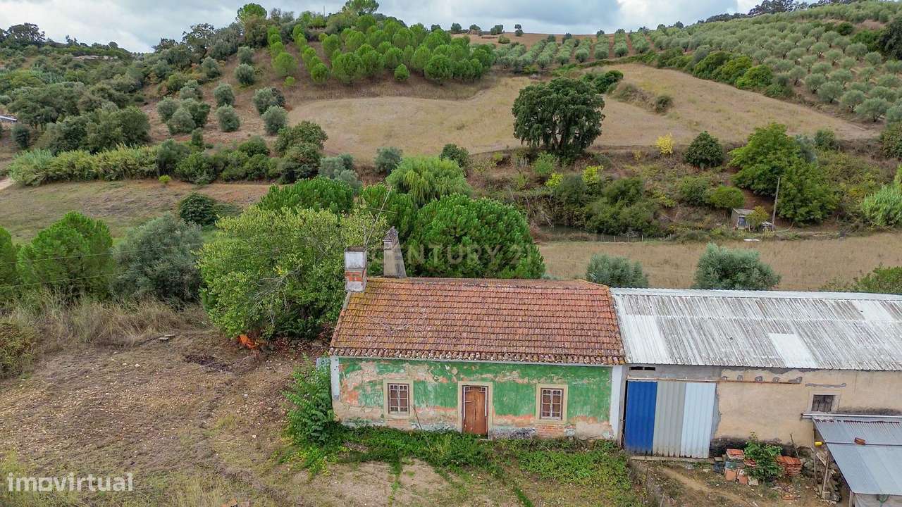 Moradia C/ Terreno 2,2 Hectares - Grande imagem: 4/22