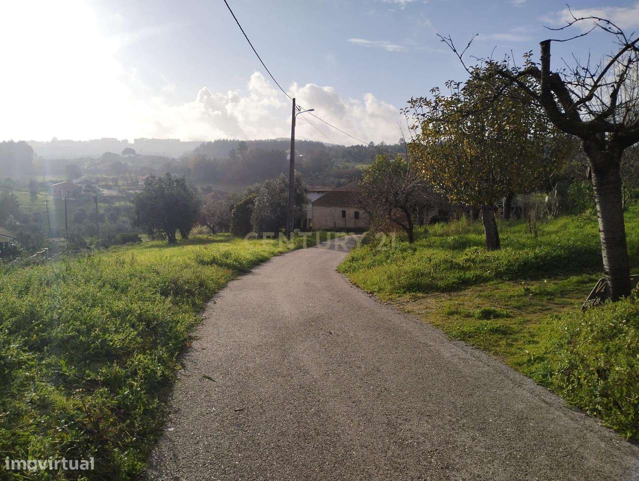 Terreno em Beco - Ferreira do Zêzere - Grande imagem: 5/6
