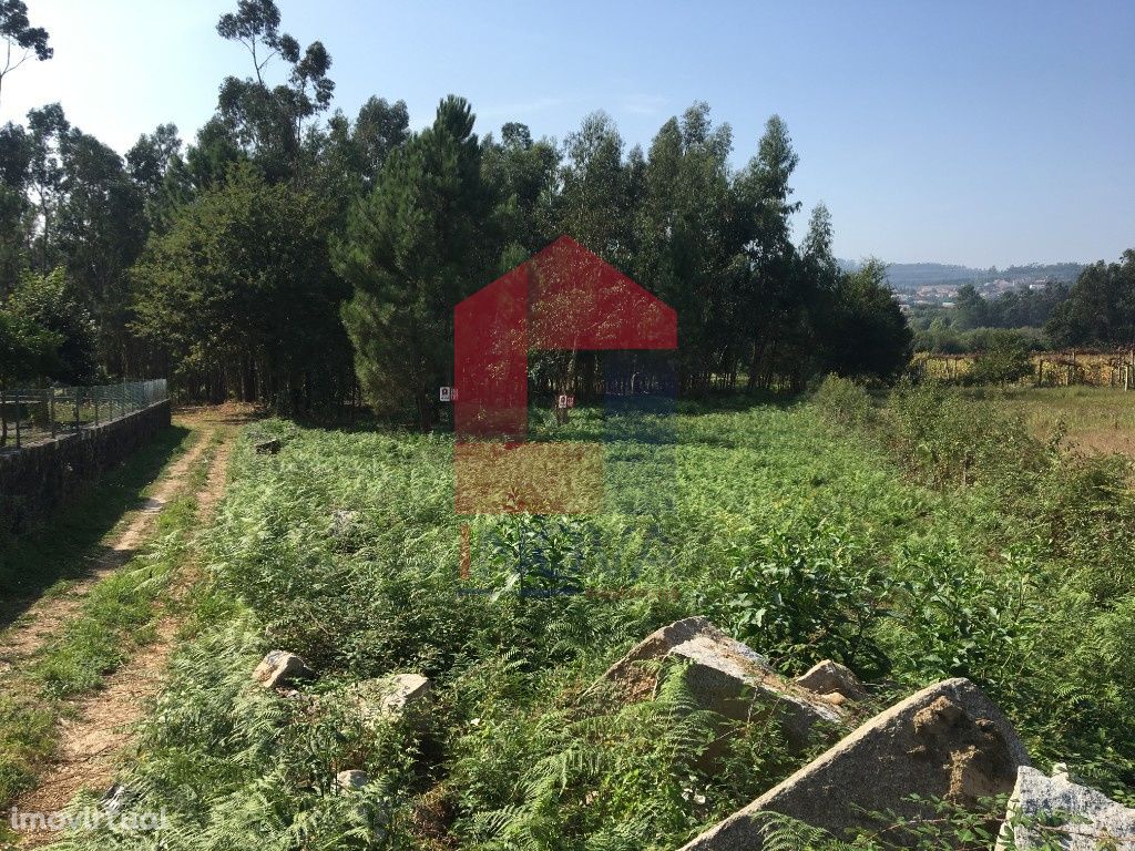 Terreno agrícola, Cervães