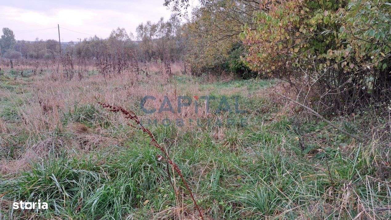 Teren plan 4800 mp cu casa demolabila, centru Corpadea, Apahida - Imagine principală: 3/10