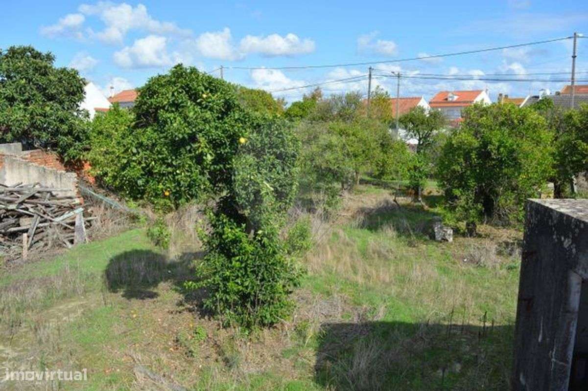 Terreno  para venda-15