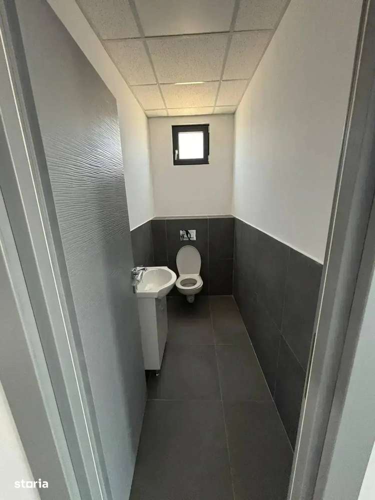 Hala de Inchiriat 590 mp  | Parcul Industrial TBM | Chiajna-Chitila - Imagine principală: 5/6