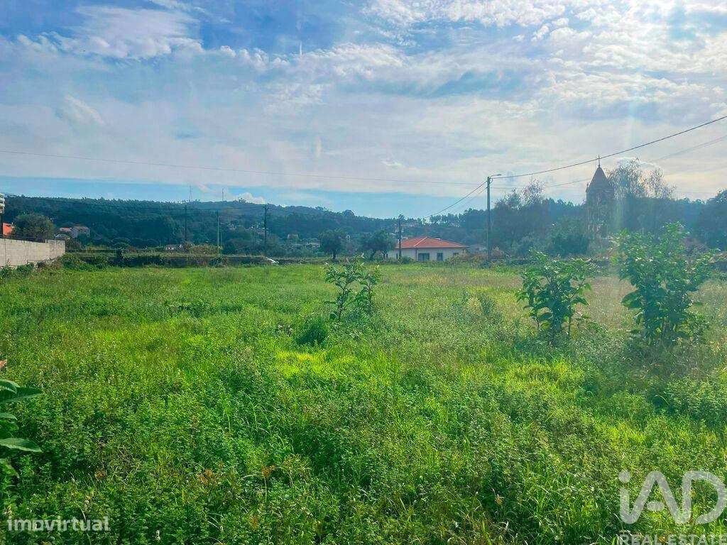 Terreno em Riba de Âncora de 1870,00 m2 - Grande imagem: 5/11