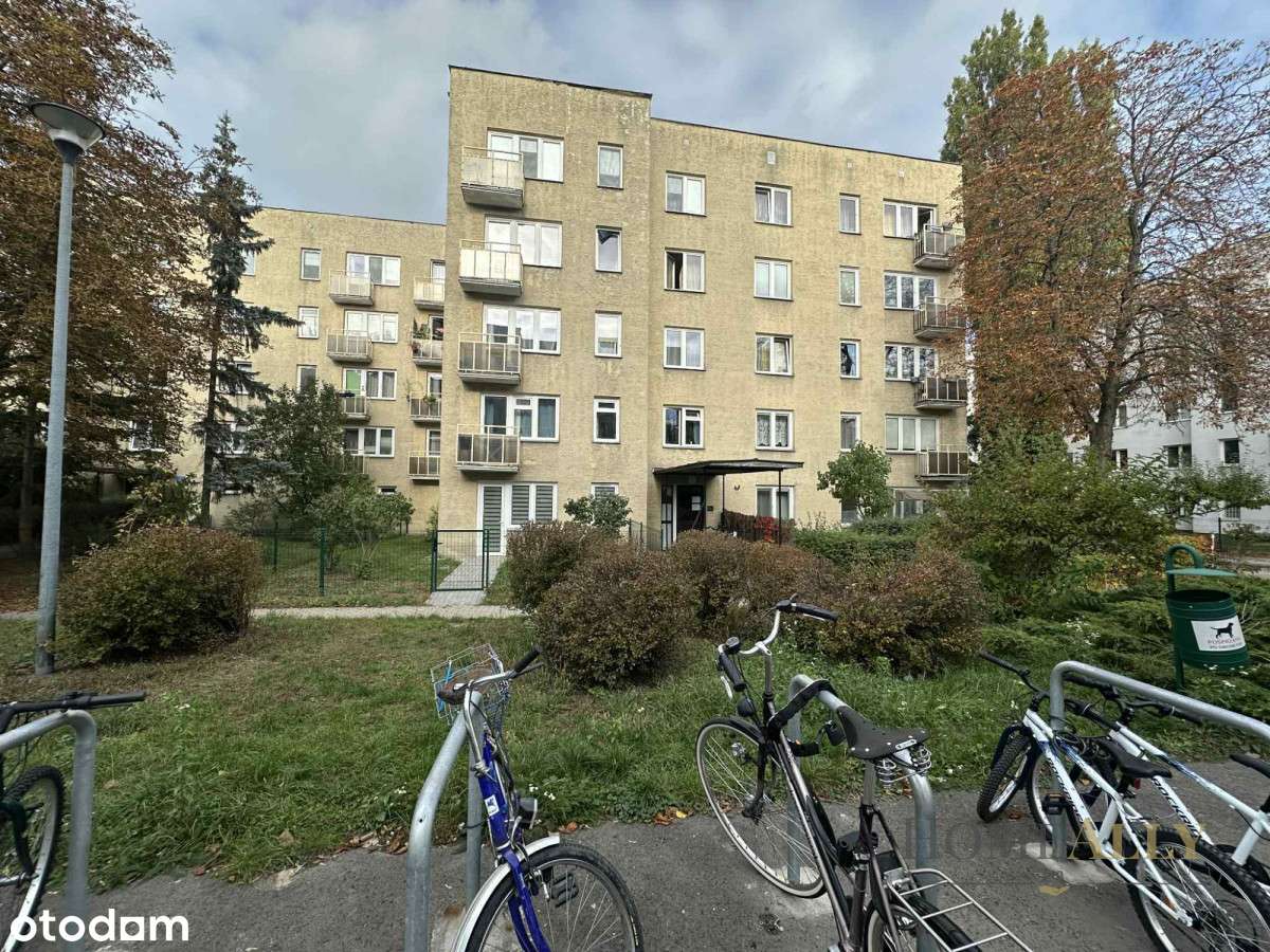 Mieszkanie z potencjałem dla rodziny lub na wynaje-7