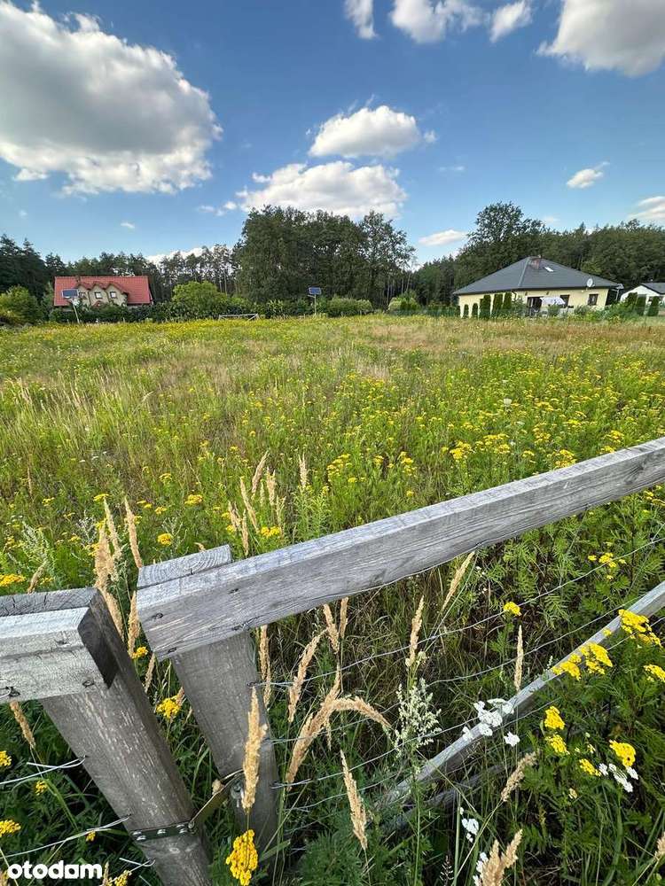 Bezpośrednio od właściciela Działka budowlana Rokiciny-Kolonia - Pełny obrazek: 5/18