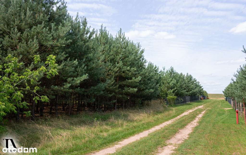 Działka blisko jeziora pod dom lub rekreację. - Pełny obrazek: 4/6