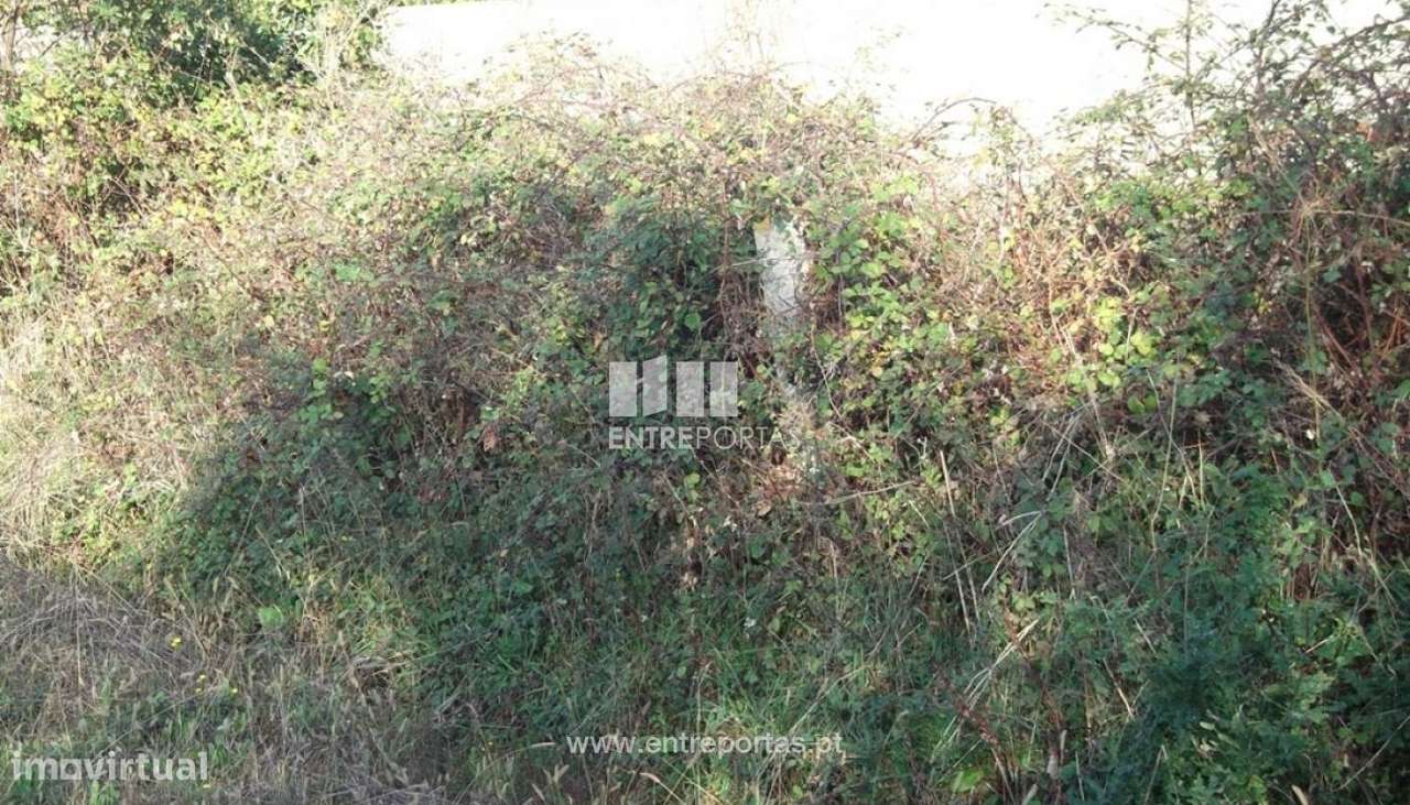 Terreno para venda, Moledo, Caminha - Grande imagem: 4/6