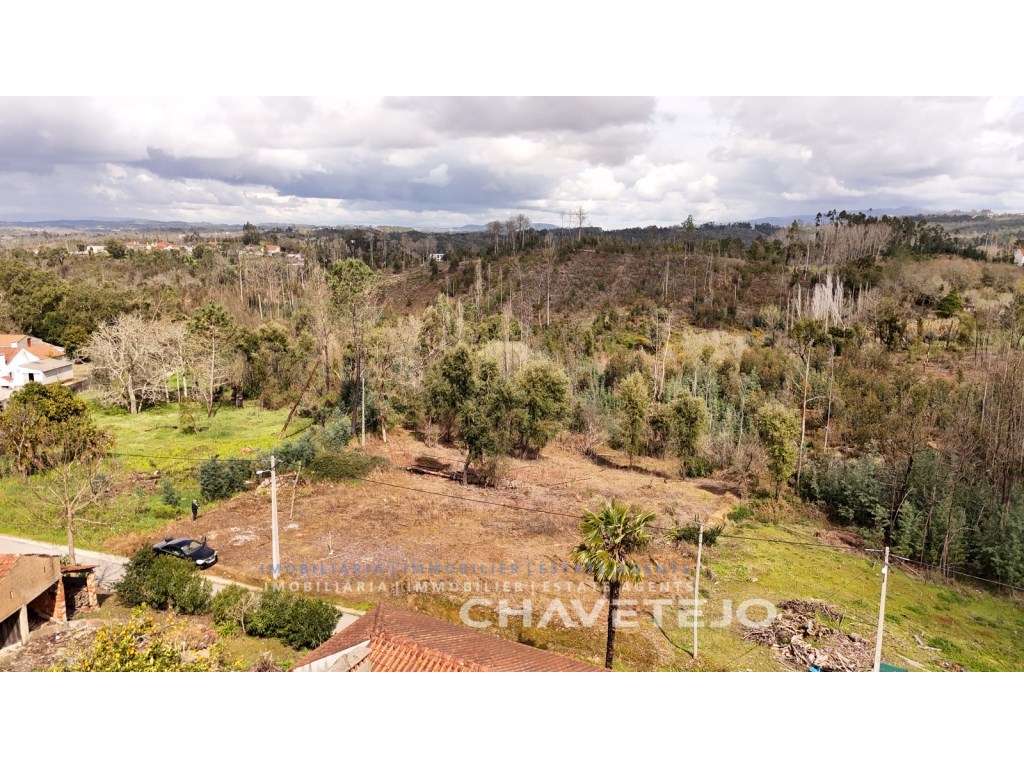 2 lotes para construção (1) com projecto de construção de T3 térreo... - Grande imagem: 4/15