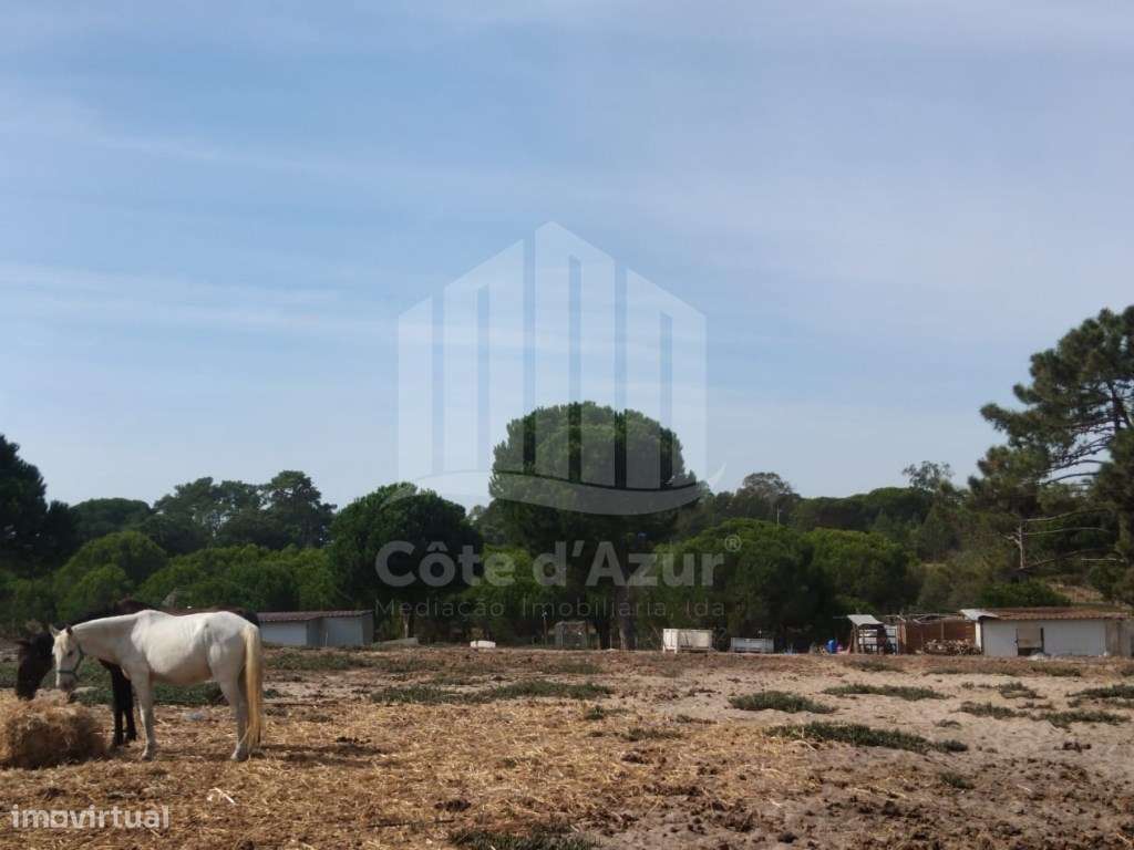 Propriedade rústica em Carvalhais, Fornos, Sesimbra - Grande imagem: 2/17