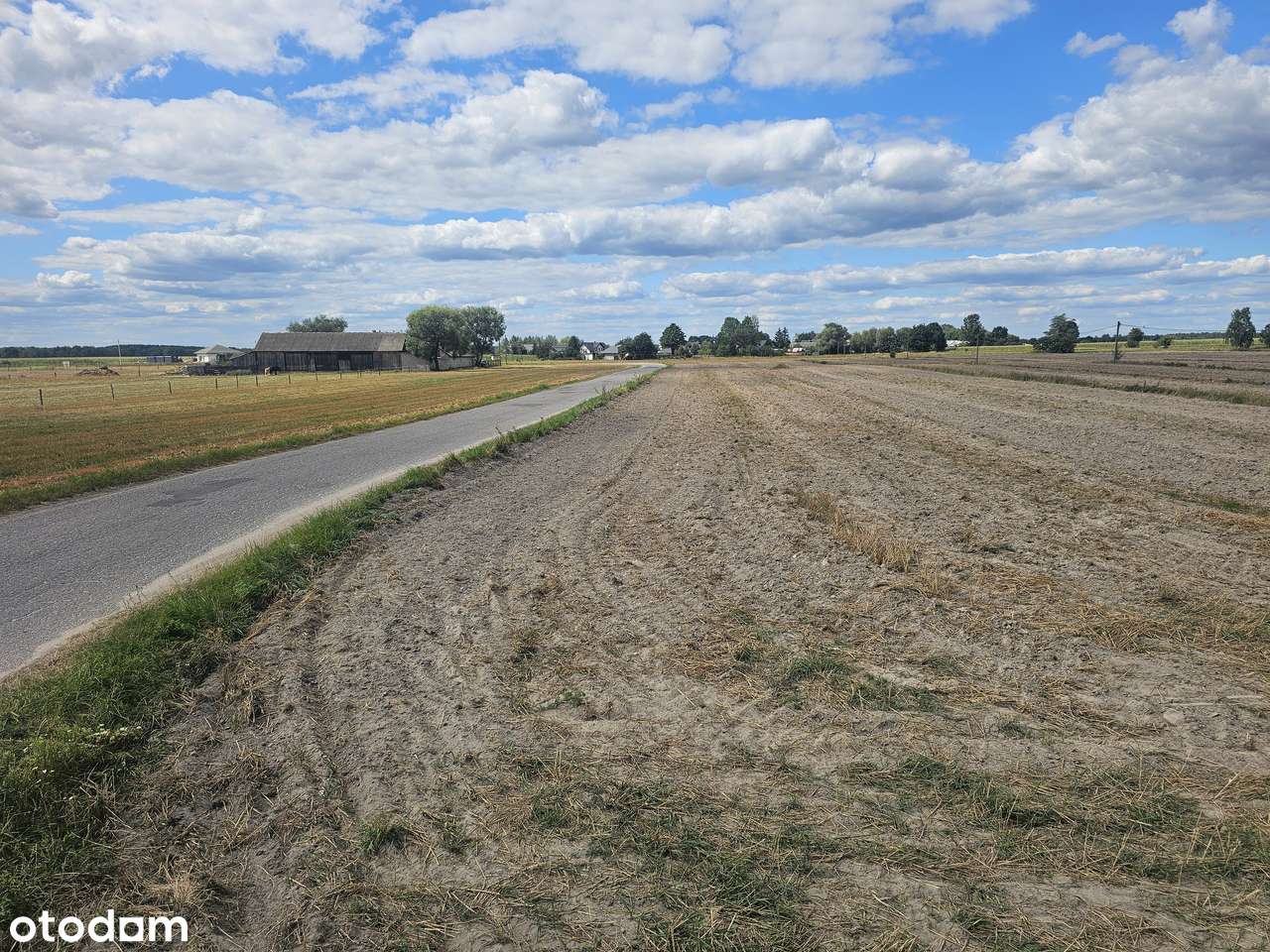 Buduj od razu! Atrakcyjne działki 1600–2500 m², Romanów/Jedlińsk - Pełny obrazek: 4/11